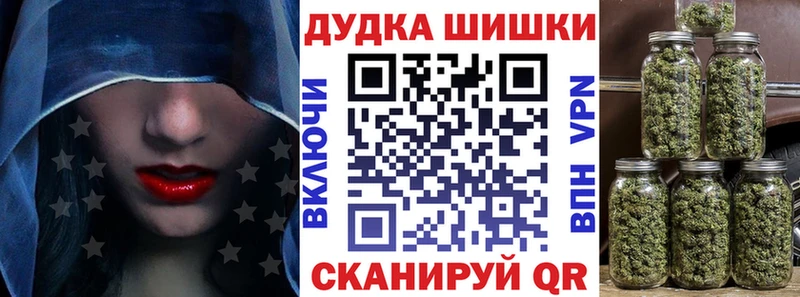 Бошки Шишки MAZAR Луза